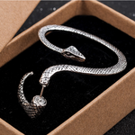 Snake Earring Image